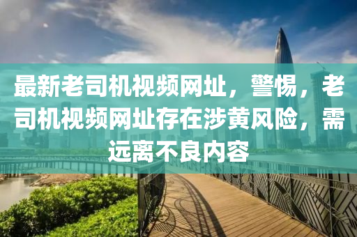 最新老司机视频网址，警惕，老司机视频网址存在涉黄风险，需远离不良内容