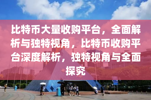 比特币大量收购平台，全面解析与独特视角，比特币收购平台深度解析，独特视角与全面探究