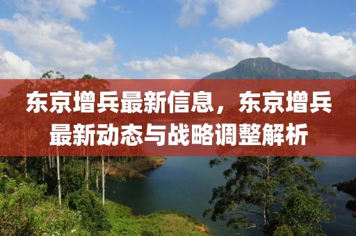 东京增兵最新信息，东京增兵最新动态与战略调整解析