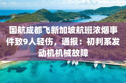 国航成都飞新加坡航班浓烟事件致9人轻伤，通报：初判系发动机机械故障