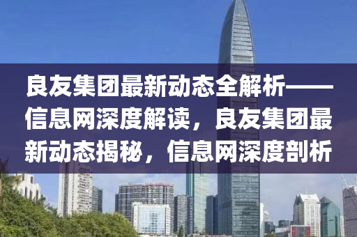 良友集团最新动态全解析——信息网深度解读，良友集团最新动态揭秘，信息网深度剖析