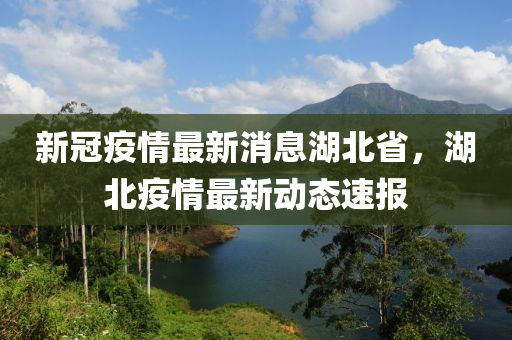 新冠疫情最新消息湖北省，湖北疫情最新动态速报