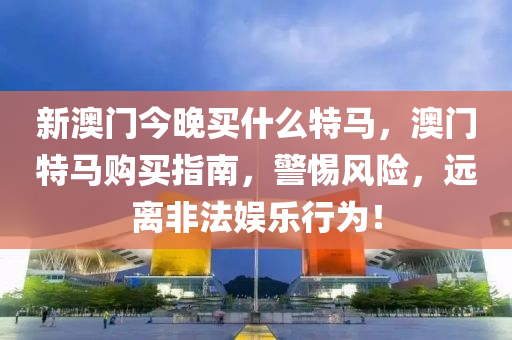 新澳门今晚买什么特马，澳门特马购买指南，警惕风险，远离非法娱乐行为！