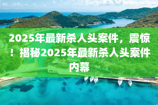 2025年最新杀人头案件，震惊！揭秘2025年最新杀人头案件内幕