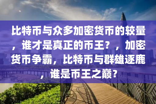 比特币与众多加密货币的较量，谁才是真正的币王？，加密货币争霸，比特币与群雄逐鹿，谁是币王之巅？