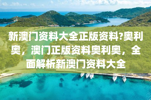 新澳门资料大全正版资料?奥利奥，澳门正版资料奥利奥，全面解析新澳门资料大全