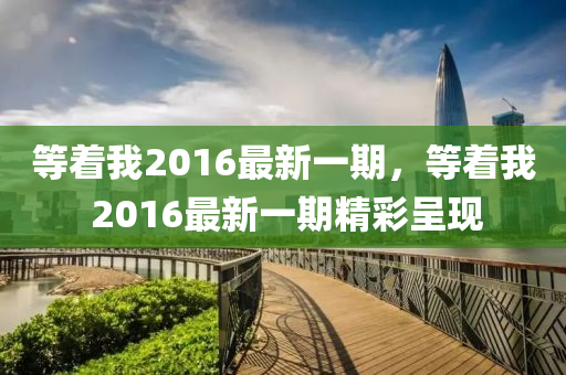 等着我2016最新一期，等着我 2016最新一期精彩呈现