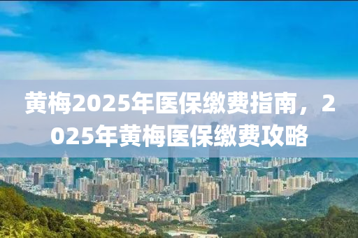 黄梅2025年医保缴费指南，2025年黄梅医保缴费攻略