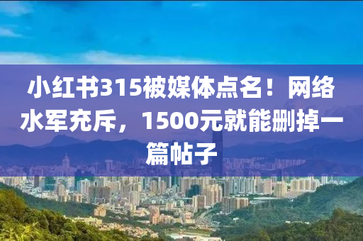 小红书315被媒体点名！网络水军充斥，1500元就能删掉一篇帖子