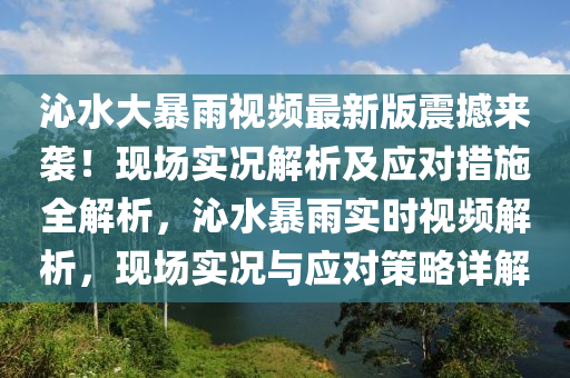 沁水大暴雨视频最新版震撼来袭！现场实况解析及应对措施全解析，沁水暴雨实时视频解析，现场实况与应对策略详解