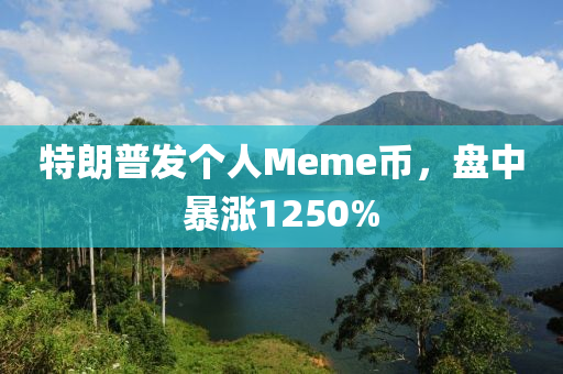 特朗普发个人Meme币，盘中暴涨1250%