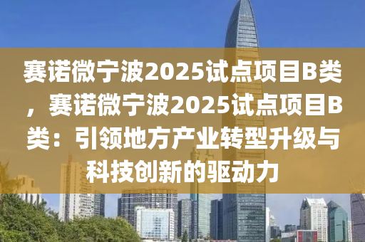 赛诺微宁波2025试点项目B类，赛诺微宁波2025试点项目B类：引领地方产业转型升级与科技创新的驱动力