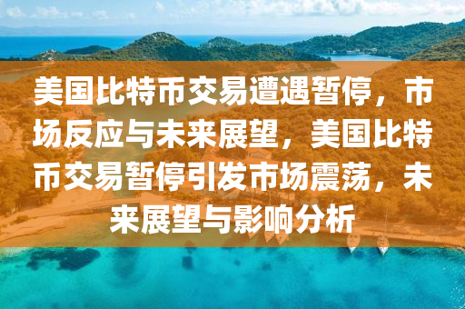 美国比特币交易遭遇暂停，市场反应与未来展望，美国比特币交易暂停引发市场震荡，未来展望与影响分析