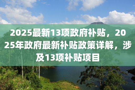 2025最新13项政府补贴，2025年政府最新补贴政策详解，涉及13项补贴项目