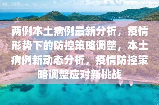 两例本土病例最新分析，疫情形势下的防控策略调整，本土病例新动态分析，疫情防控策略调整应对新挑战