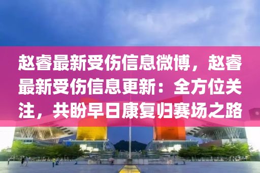 赵睿最新受伤信息微博，赵睿最新受伤信息更新：全方位关注，共盼早日康复归赛场之路