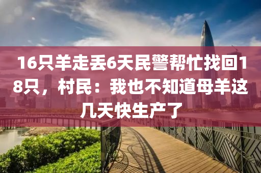 16只羊走丢6天民警帮忙找回18只，村民：我也不知道母羊这几天快生产了