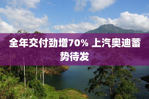 全年交付劲增70% 上汽奥迪蓄势待发