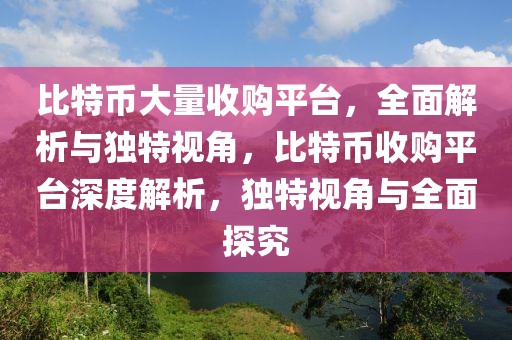 比特币大量收购平台，全面解析与独特视角，比特币收购平台深度解析，独特视角与全面探究