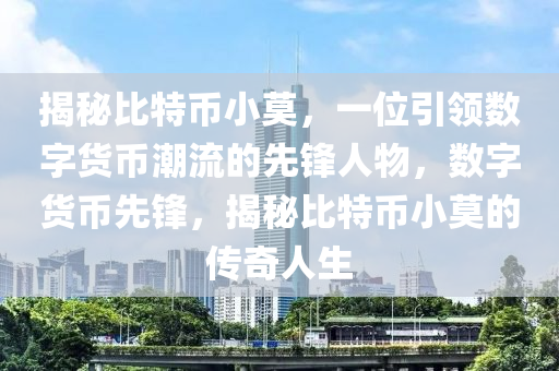 揭秘比特币小莫，一位引领数字货币潮流的先锋人物，数字货币先锋，揭秘比特币小莫的传奇人生