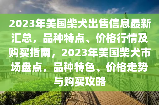 2023年美国柴犬出售信息最新汇总，品种特点、价格行情及购买指南，2023年美国柴犬市场盘点，品种特色、价格走势与购买攻略