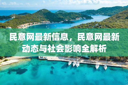 民意网最新信息，民意网最新动态与社会影响全解析