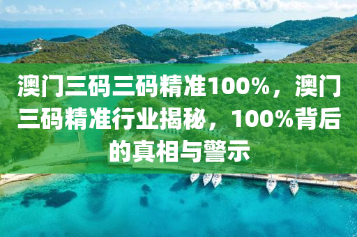 澳门三码三码精准100%，澳门三码精准行业揭秘，100%背后的真相与警示