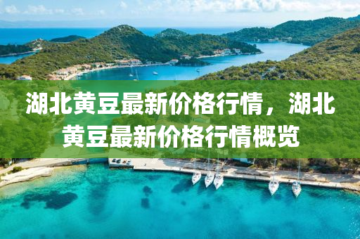 湖北黄豆最新价格行情，湖北黄豆最新价格行情概览