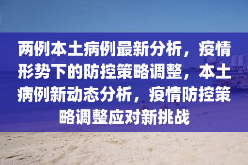 两例本土病例最新分析，疫情形势下的防控策略调整，本土病例新动态分析，疫情防控策略调整应对新挑战