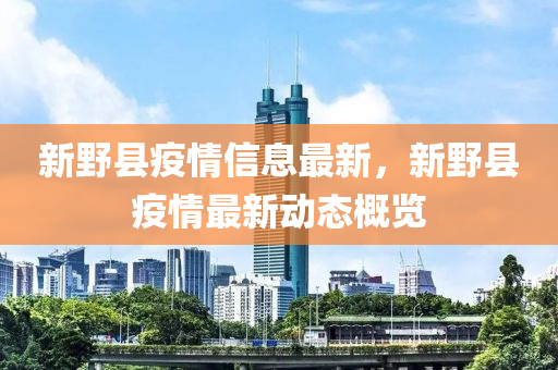 新野县疫情信息最新，新野县疫情最新动态概览