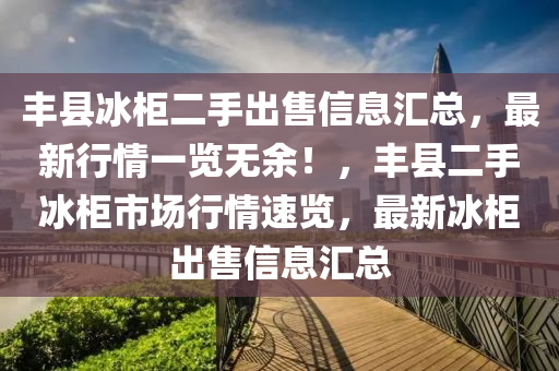 丰县冰柜二手出售信息汇总，最新行情一览无余！，丰县二手冰柜市场行情速览，最新冰柜出售信息汇总