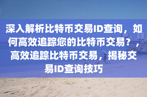 深入解析比特币交易ID查询，如何高效追踪您的比特币交易？，高效追踪比特币交易，揭秘交易ID查询技巧