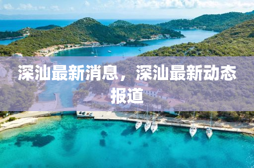 深汕最新消息，深汕最新动态报道