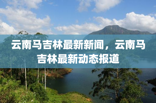 云南马吉林最新新闻，云南马吉林最新动态报道