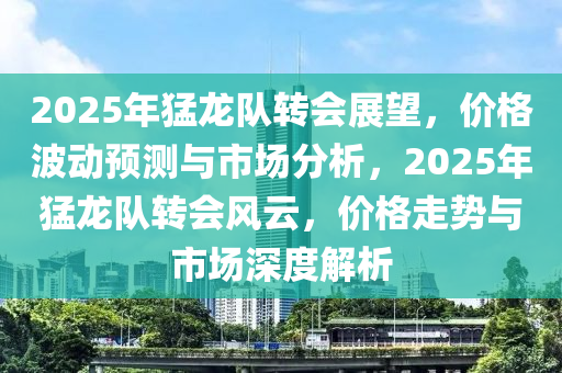 2025年猛龙队转会展望，价格波动预测与市场分析，2025年猛龙队转会风云，价格走势与市场深度解析