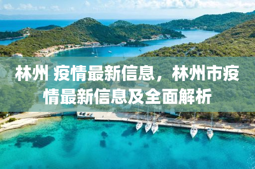 林州 疫情最新信息，林州市疫情最新信息及全面解析