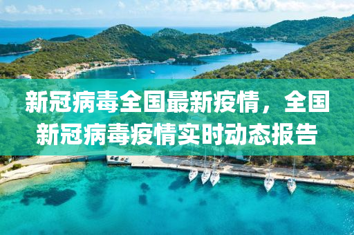 新冠病毒全国最新疫情，全国新冠病毒疫情实时动态报告