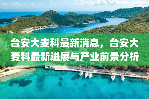 台安大麦科最新消息，台安大麦科最新进展与产业前景分析