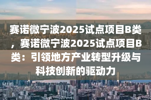 赛诺微宁波2025试点项目B类，赛诺微宁波2025试点项目B类：引领地方产业转型升级与科技创新的驱动力