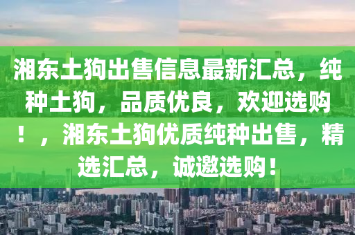 湘东土狗出售信息最新汇总，纯种土狗，品质优良，欢迎选购！，湘东土狗优质纯种出售，精选汇总，诚邀选购！