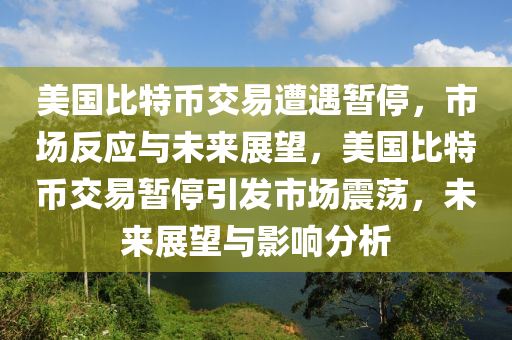 美国比特币交易遭遇暂停，市场反应与未来展望，美国比特币交易暂停引发市场震荡，未来展望与影响分析