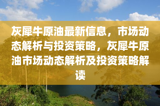 灰犀牛原油最新信息，市场动态解析与投资策略，灰犀牛原油市场动态解析及投资策略解读