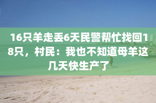 16只羊走丢6天民警帮忙找回18只，村民：我也不知道母羊这几天快生产了