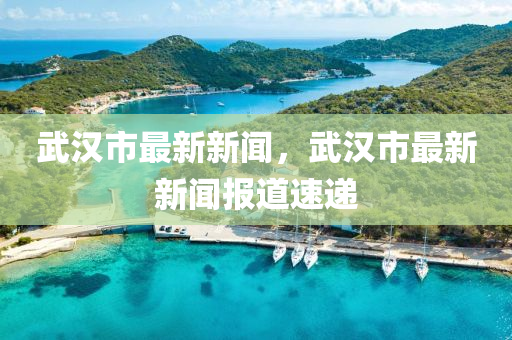 武汉市最新新闻，武汉市最新新闻报道速递