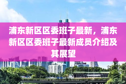 浦东新区区委班子最新，浦东新区区委班子最新成员介绍及其展望