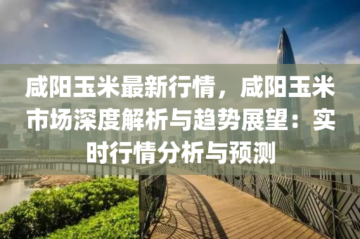 咸阳玉米最新行情，咸阳玉米市场深度解析与趋势展望：实时行情分析与预测