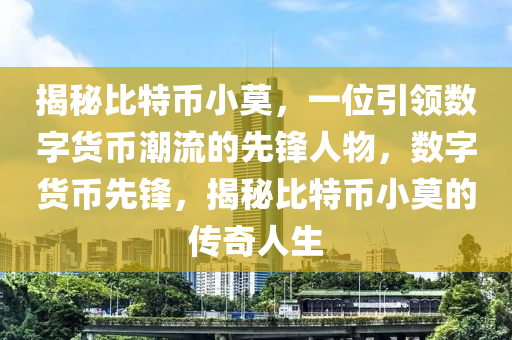 揭秘比特币小莫，一位引领数字货币潮流的先锋人物，数字货币先锋，揭秘比特币小莫的传奇人生