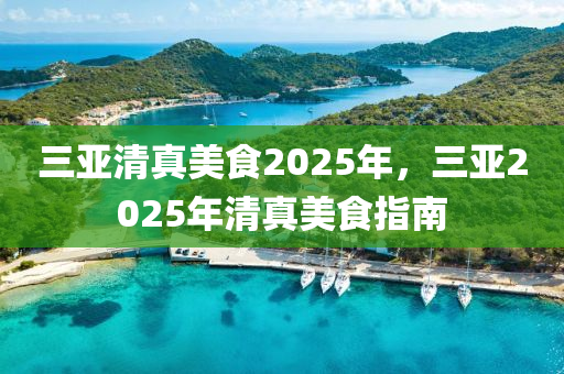 三亚清真美食2025年，三亚2025年清真美食指南