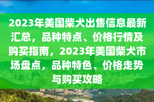 2023年美国柴犬出售信息最新汇总，品种特点、价格行情及购买指南，2023年美国柴犬市场盘点，品种特色、价格走势与购买攻略