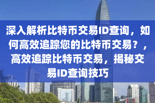 深入解析比特币交易ID查询，如何高效追踪您的比特币交易？，高效追踪比特币交易，揭秘交易ID查询技巧